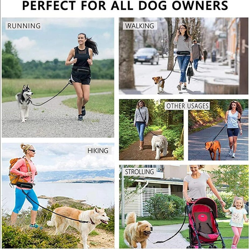 Brilliant Hands Free Dog Leash