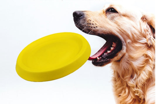 Simply The Best! Frisbee