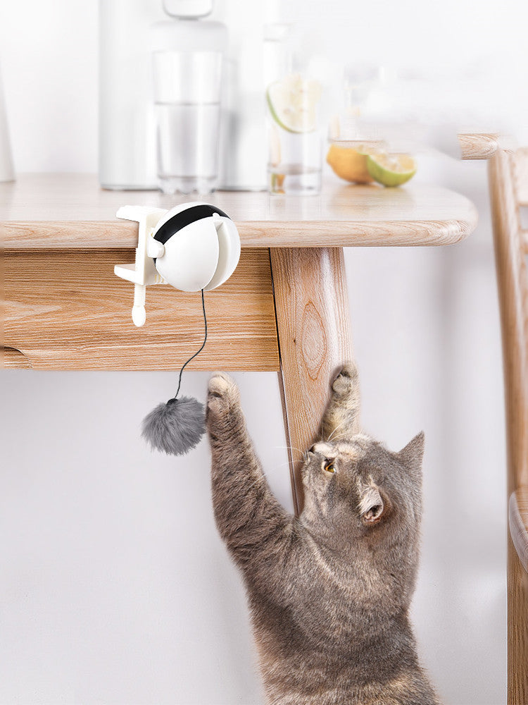 Intelligent Interactive Cat Motion Toy - My Store