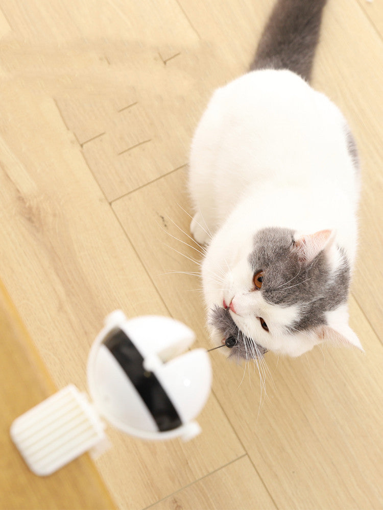 Intelligent Interactive Cat Motion Toy - My Store