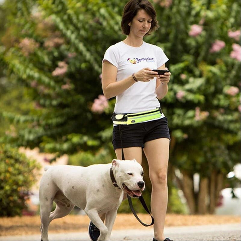 Brilliant Hands Free Dog Leash