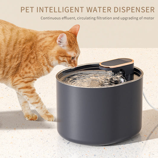 Astonishing Automatic Pet Drinking Dispenser