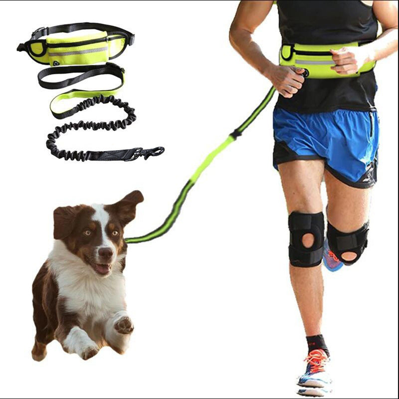 Brilliant Hands Free Dog Leash