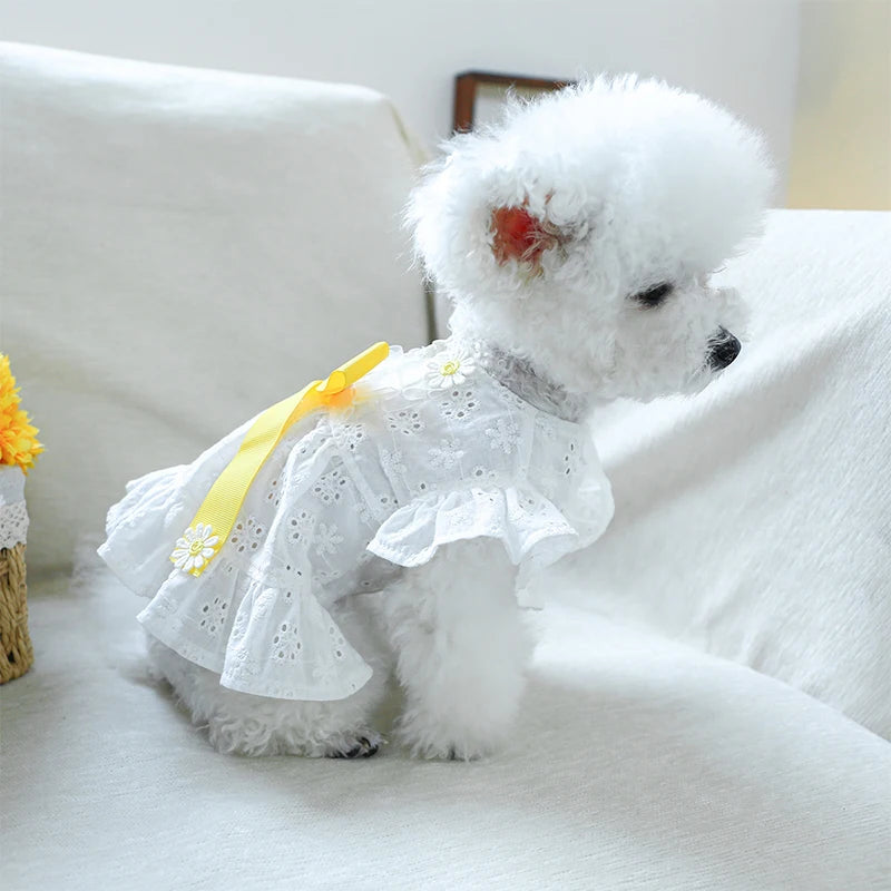 Spring Summer Dresses with White Floral Eyelets, Small and Medium Girl Dogs, Photography Outfits