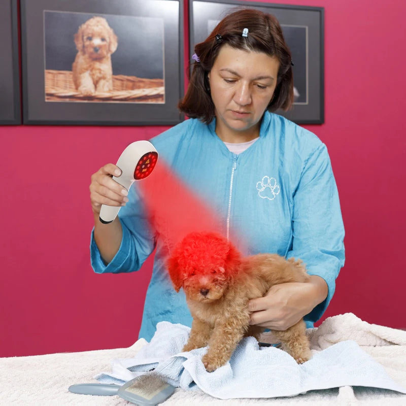 Handheld Laser Therapy for Dogs, Laser Diode, Red Light Therapy for Pain Relief & Wound Healing & Joint/Muscle Stiffness