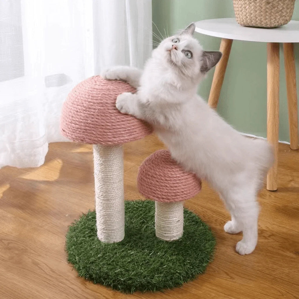 Twin Mushroom Cat Climbing Frame Tree