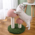 Twin Mushroom Cat Climbing Frame Tree