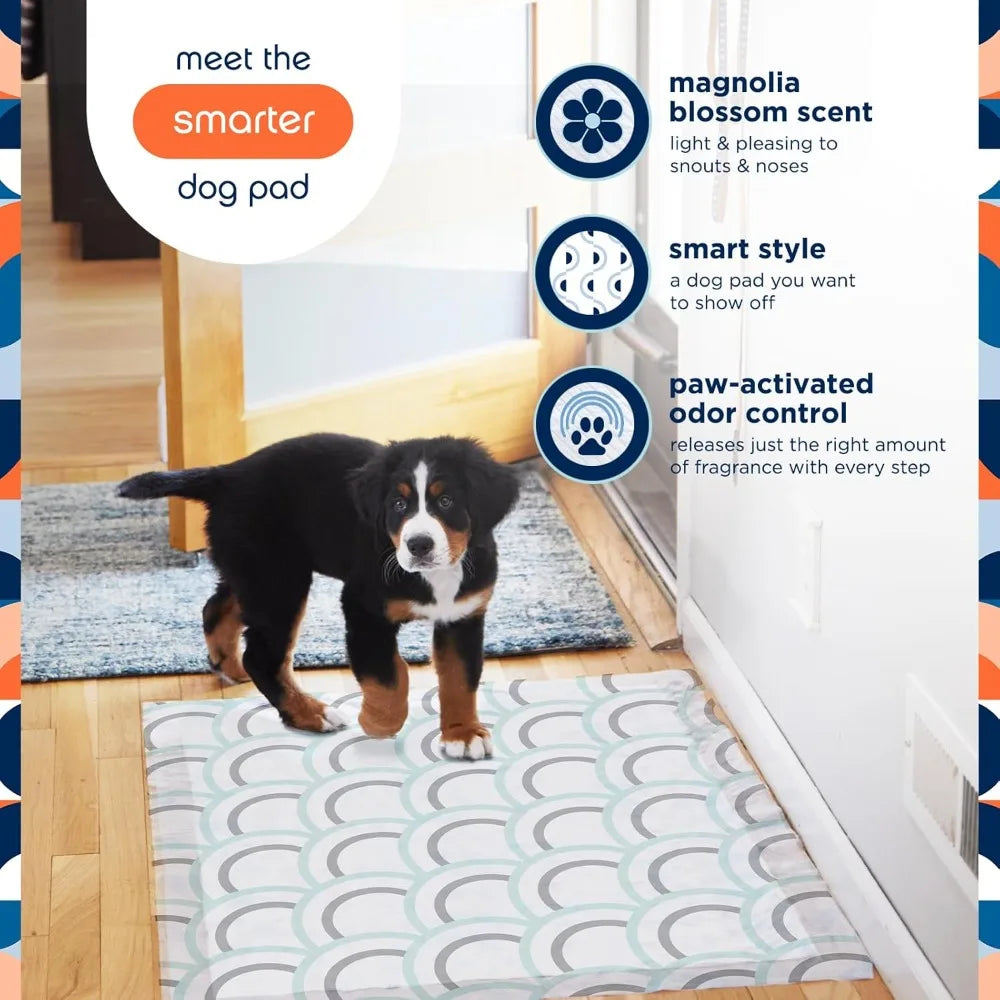 Smart Prints XXL Puppy Pads for Dogs, Potty Training Pee Pads, 64 Count, 30' x 36', Leak-Proof, Super