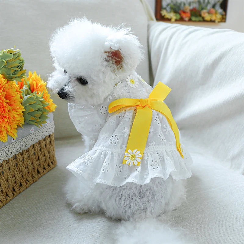 Spring Summer Dresses with White Floral Eyelets, Small and Medium Girl Dogs, Photography Outfits