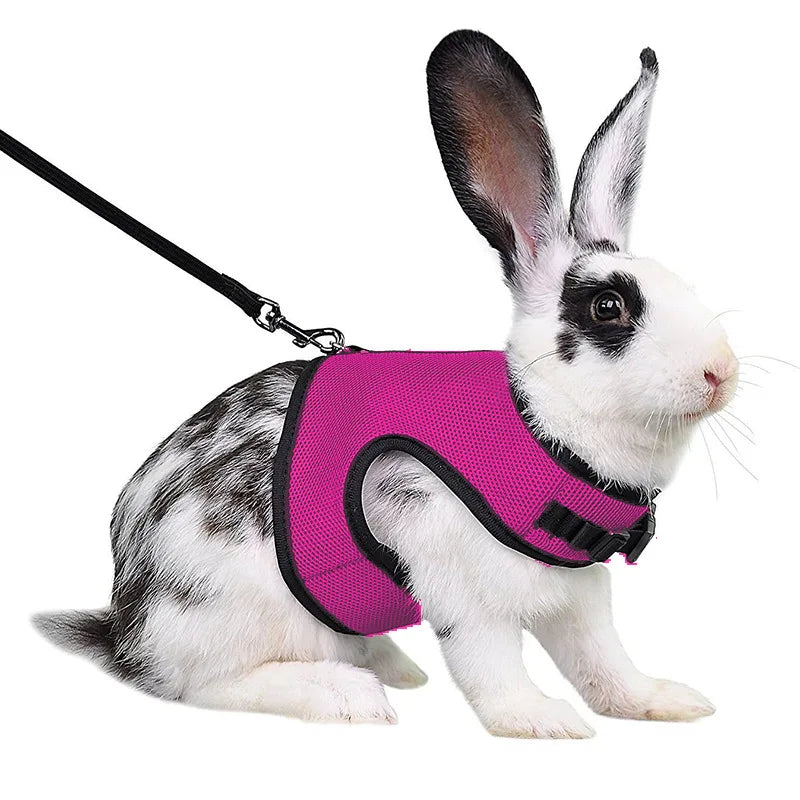 Summer, Guinea Pig, Hamster, Ferret, Rabbit, Leash Breathable Mesh, Accessories