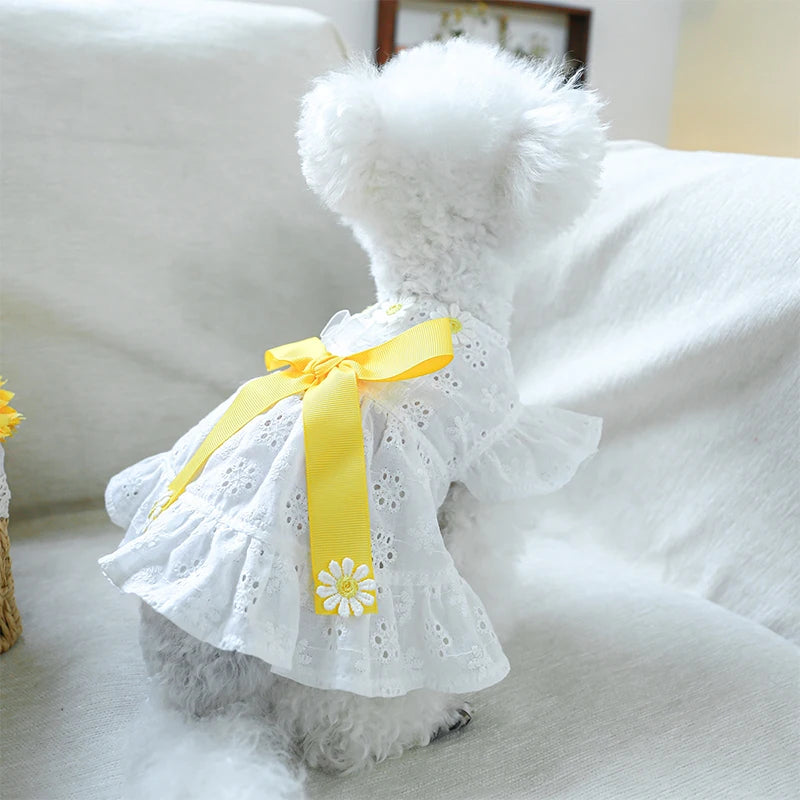 Spring Summer Dresses with White Floral Eyelets, Small and Medium Girl Dogs, Photography Outfits