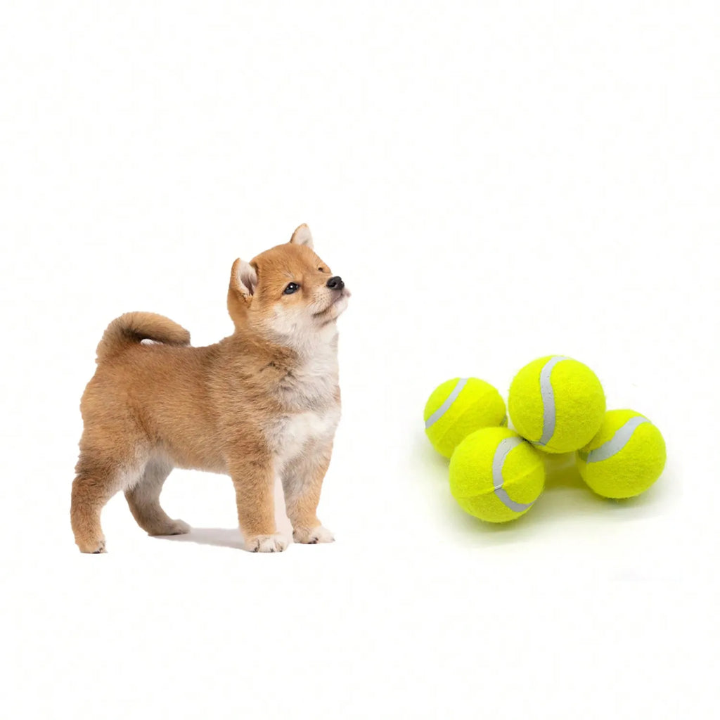 4-Pack Interactive Dog Tennis Balls - High Stretch Rubber for Small & Medium Dogs