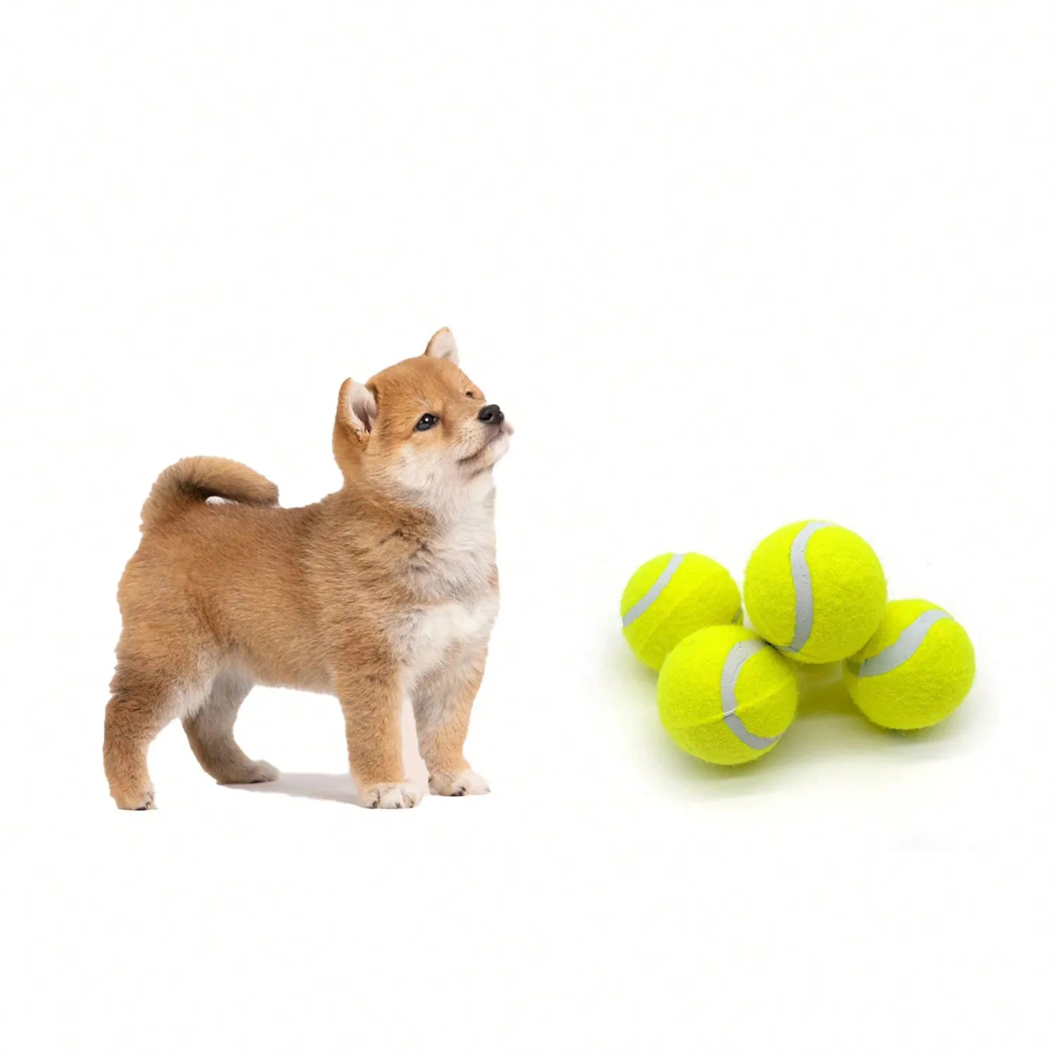 4-Pack Interactive Dog Tennis Balls - High Stretch Rubber for Small & Medium Dogs