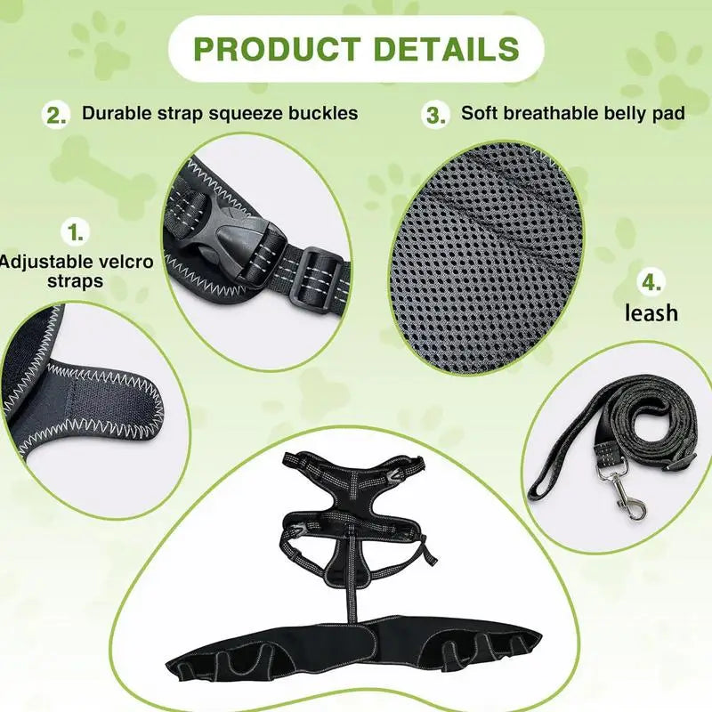 Orthopedic Brace For Dogs, Joint & Hip Support Brace, Adjustable, Leg Support, Keep Animal Joints Warm And Stable