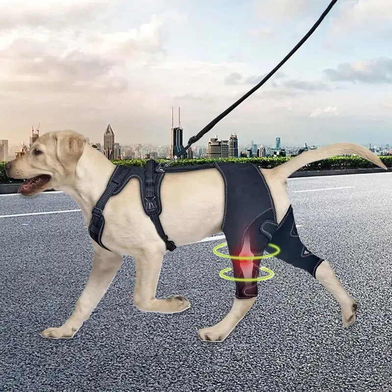Orthopedic Brace For Dogs, Joint & Hip Support Brace, Adjustable, Leg Support, Keep Animal Joints Warm And Stable