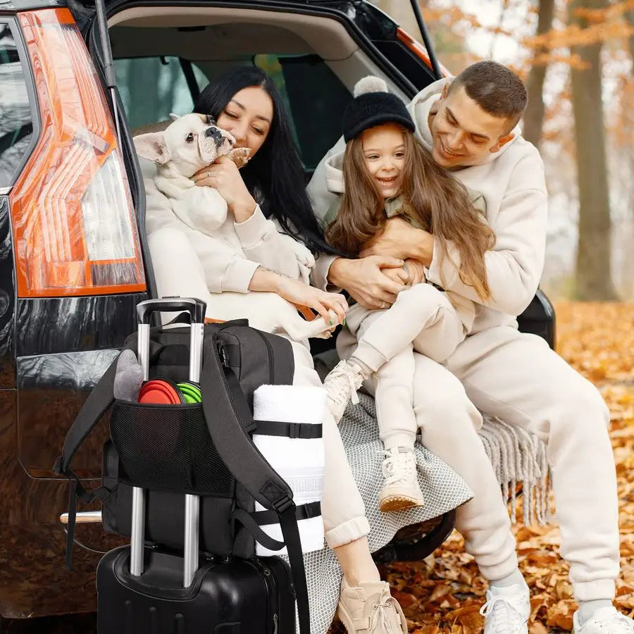 Pet Travel Bag, Airline Approved, Backpack, Tote, Weekend Bag, Food Storage Containers