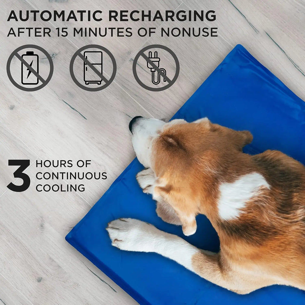 Large Dog Cooling Mat 35x55 Inches, Non-Toxic Gel Pad for Kennels and Beds, No Electricity Needed