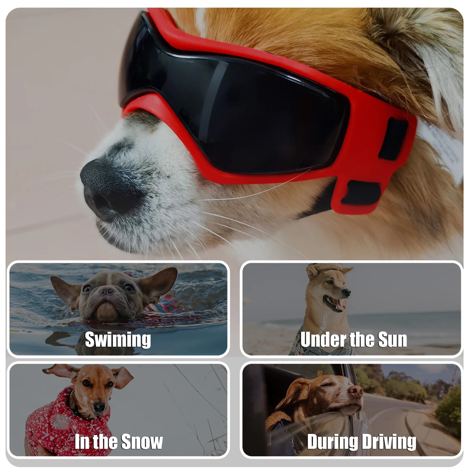 Dog Travel Glasses, Goggles, Protective Sunglasses, Adjustable Pet Glasses for Small and Medium