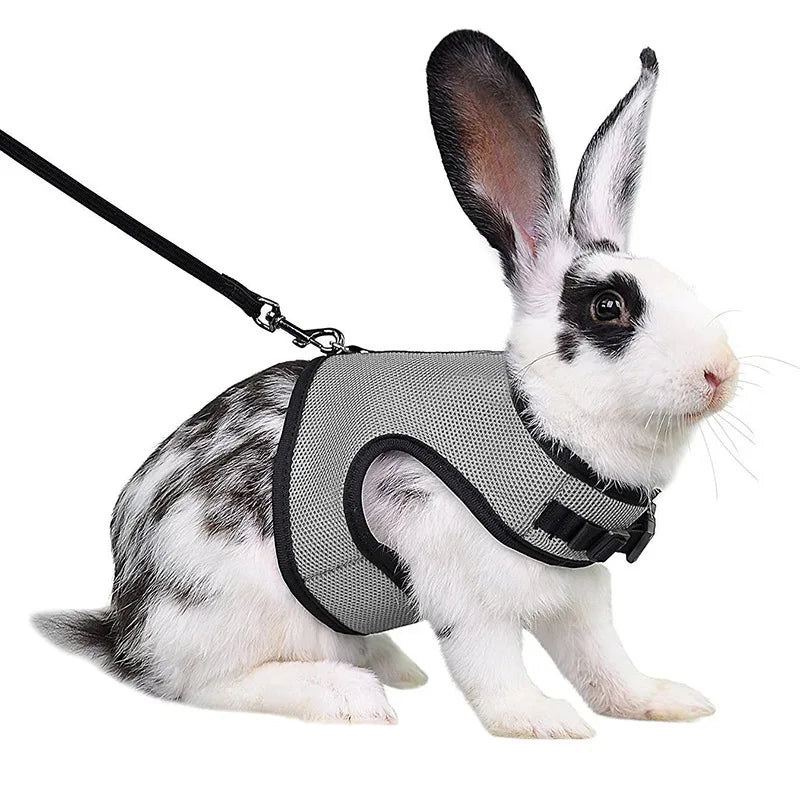 Summer, Guinea Pig, Hamster, Ferret, Rabbit, Leash Breathable Mesh, Accessories