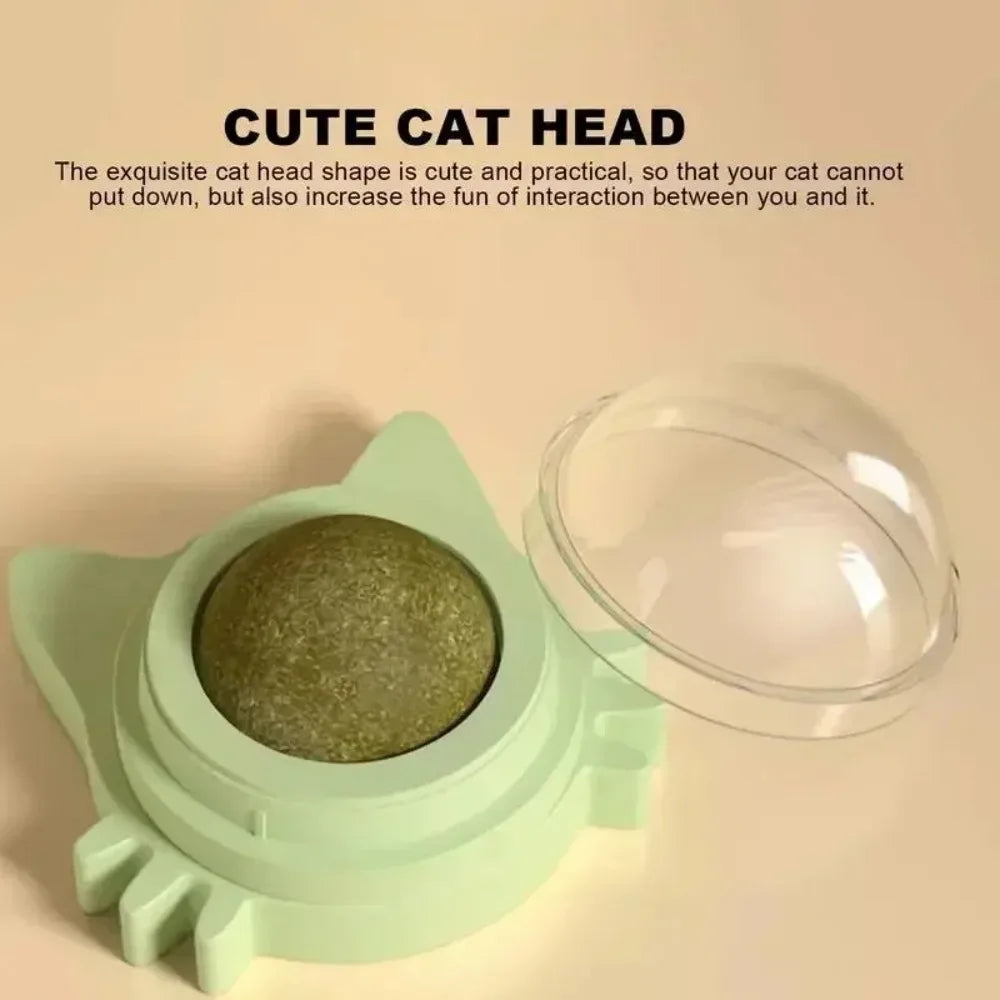 Lickable Catnip Toy, Teeth Cleaning, Chew Toy with Natural Catnip for Kittens & Cats, Sticks to Wall & Window