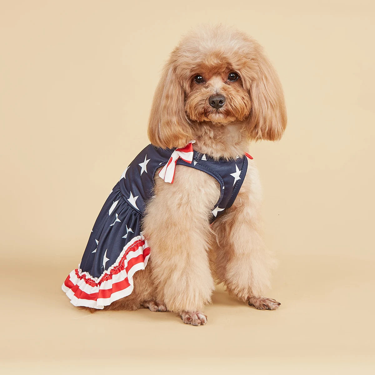 Striped Dress Shirt Cute Bowknot Sundress, American Flag Stars Printed Princess Summer Apparel Clothes with Ruffles