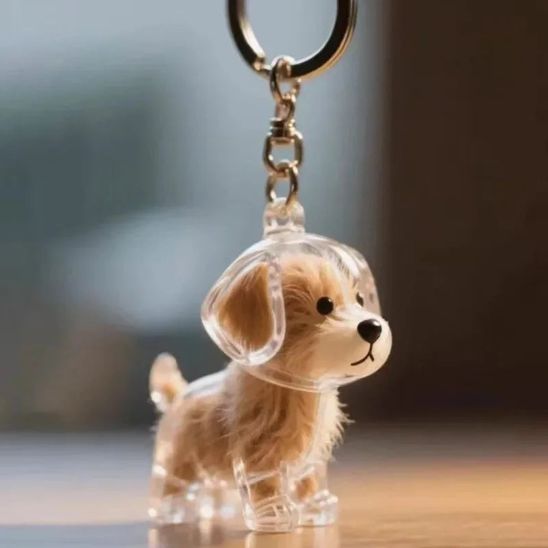 Transparent Dog & Cat Hair Storage Container, Adorable Pet Keepsake Capsule, Pendant,  Key Ring, Pet Lovers, Memorial Keychain