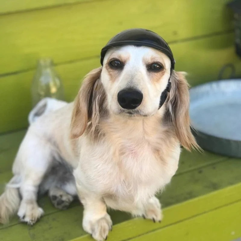 Pet Helmets, Bicycle and Motorcycle Helmet with Sunglasses, Safety Doggie Hat for Traveling, Head Protection