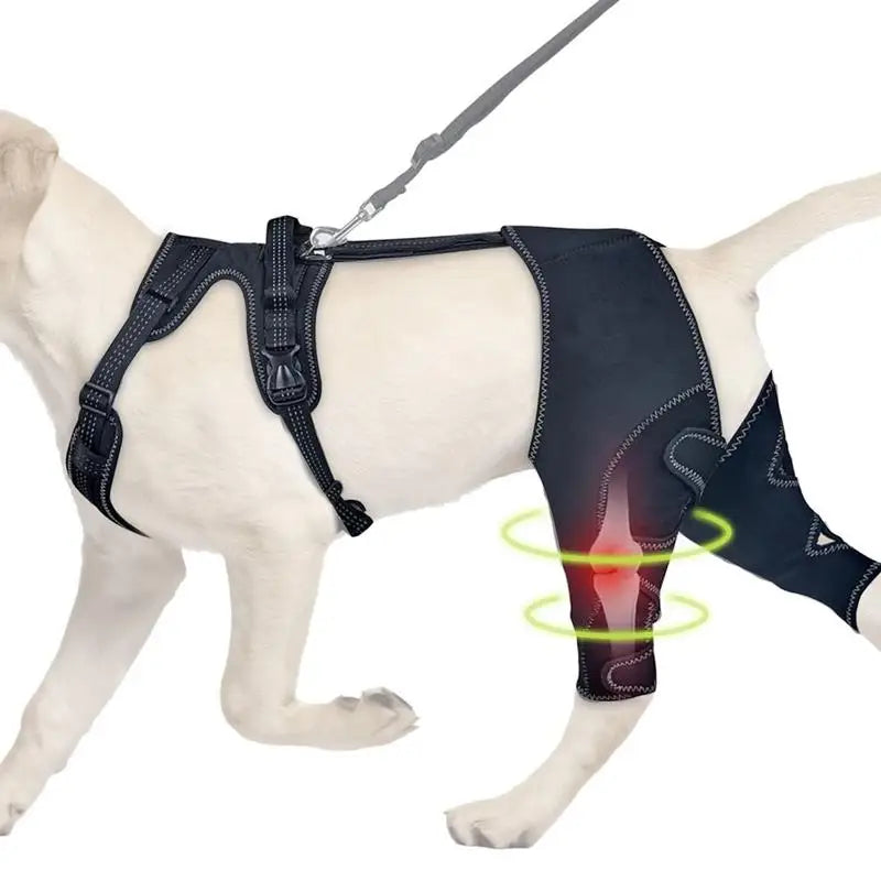 Orthopedic Brace For Dogs, Joint & Hip Support Brace, Adjustable, Leg Support, Keep Animal Joints Warm And Stable