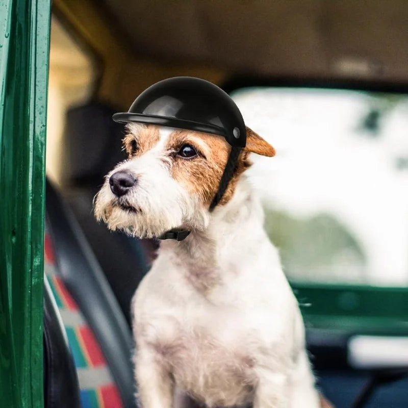 Pet Helmets, Bicycle and Motorcycle Helmet with Sunglasses, Safety Doggie Hat for Traveling, Head Protection