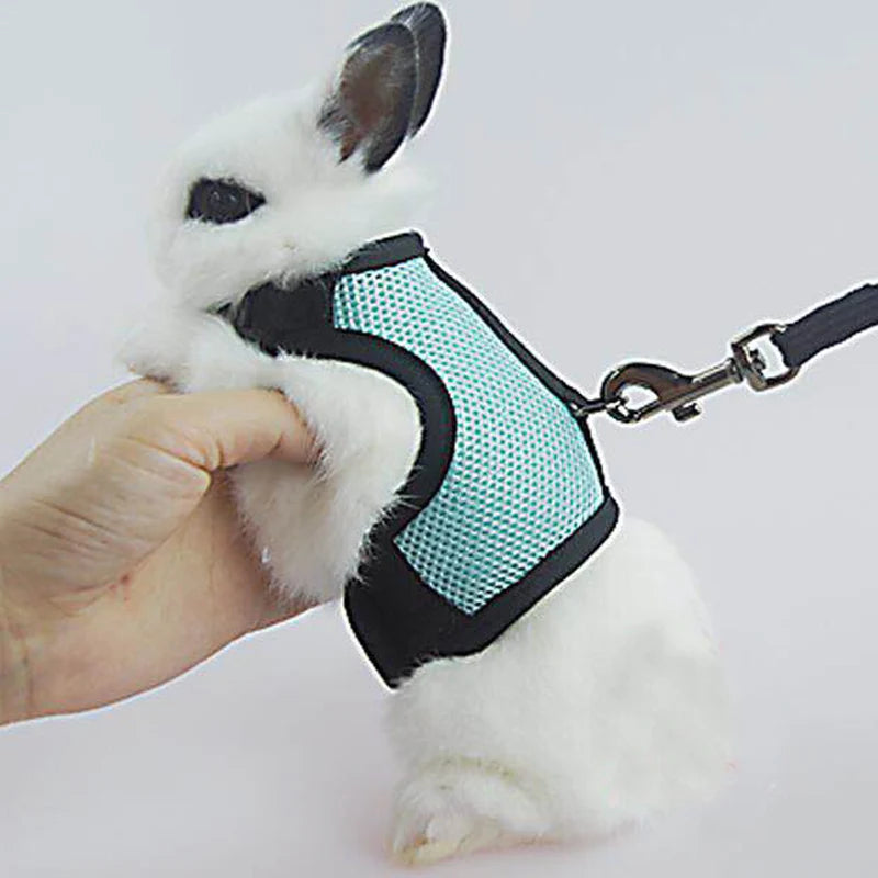 Summer, Guinea Pig, Hamster, Ferret, Rabbit, Leash Breathable Mesh, Accessories