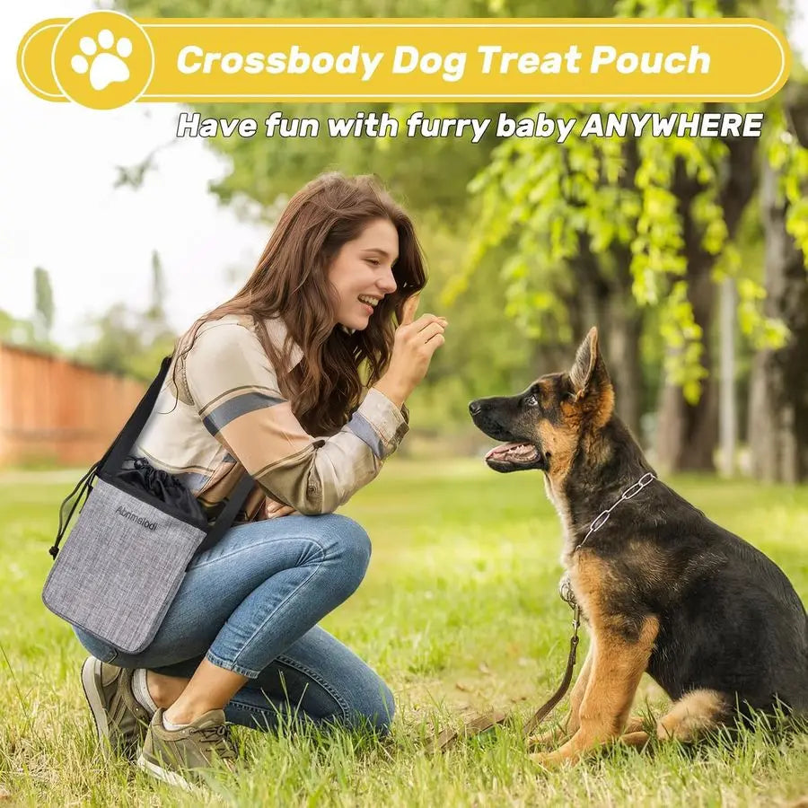 Dog Travel Bag Includes 2 Collapsible Containers