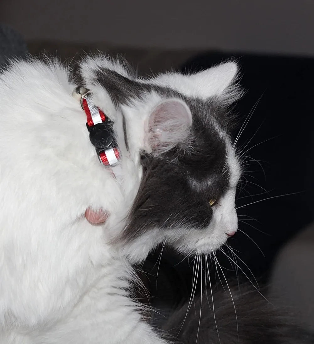 6-Pack Reflective Cat Collars with Bell, Safe Breakaway Nylon, Mixed Colors, Ideal for Cats, Includes Charms.