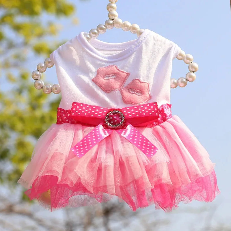 Sweet Princess Dress for Small Dogs, Spring, Autumn, Summer Dog Lace Tutu Dress