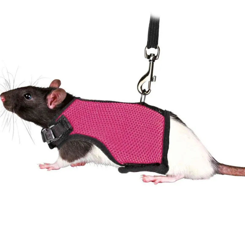 Summer, Guinea Pig, Hamster, Ferret, Rabbit, Leash Breathable Mesh, Accessories