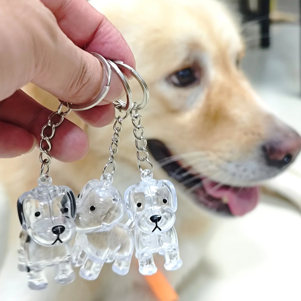 Transparent Dog & Cat Hair Storage Container, Adorable Pet Keepsake Capsule, Pendant,  Key Ring, Pet Lovers, Memorial Keychain