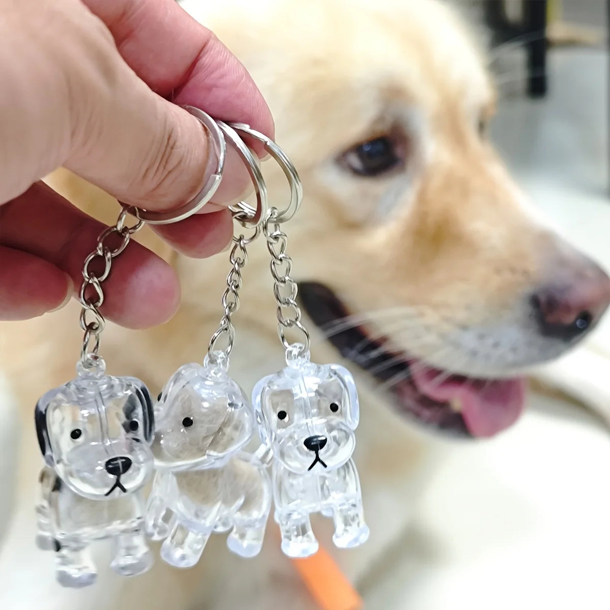 Transparent Dog & Cat Hair Storage Container, Adorable Pet Keepsake Capsule, Pendant,  Key Ring, Pet Lovers, Memorial Keychain