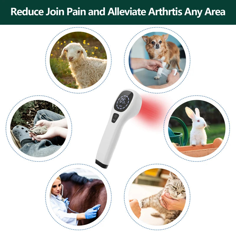 Handheld Laser Therapy for Dogs, Laser Diode, Red Light Therapy for Pain Relief & Wound Healing & Joint/Muscle Stiffness