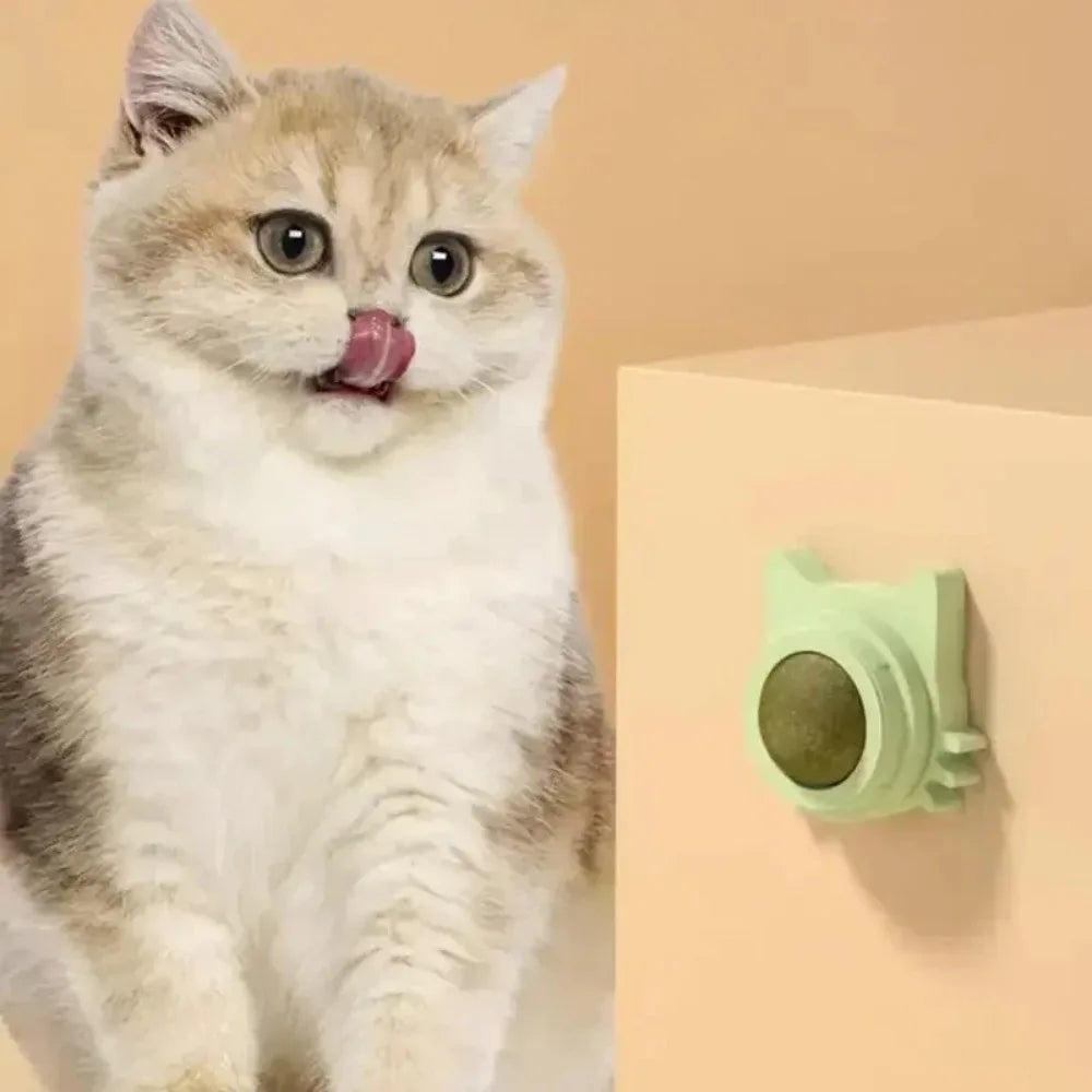 Lickable Catnip Toy, Teeth Cleaning, Chew Toy with Natural Catnip for Kittens & Cats, Sticks to Wall & Window