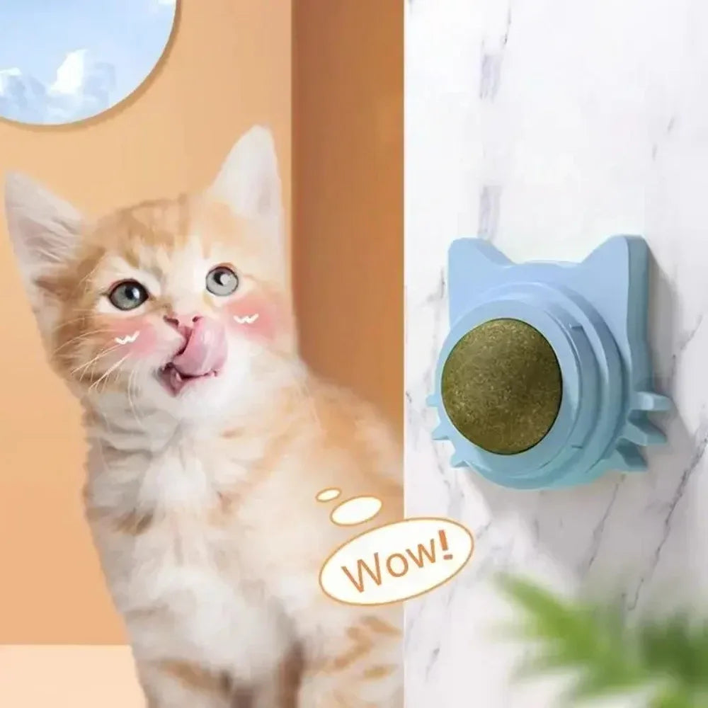 Lickable Catnip Toy, Teeth Cleaning, Chew Toy with Natural Catnip for Kittens & Cats, Sticks to Wall & Window