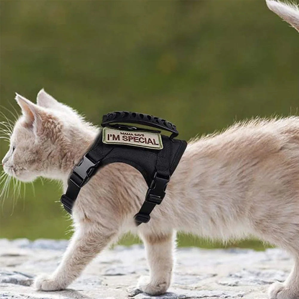 Tactical Harness, Leash, Escape Proof, Breathable, Military Vest and Velcro for Small Dog, Kittens, Puppies