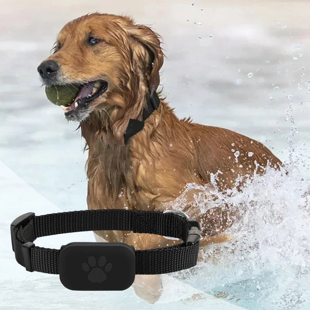 Pet GPS Tracker with Adjustable Collar, Smart Pet Locator, Tracker for Cats and Dogs