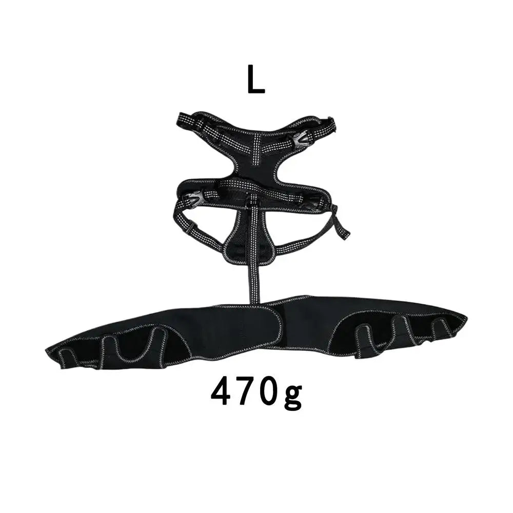 Orthopedic Brace For Dogs, Joint & Hip Support Brace, Adjustable, Leg Support, Keep Animal Joints Warm And Stable