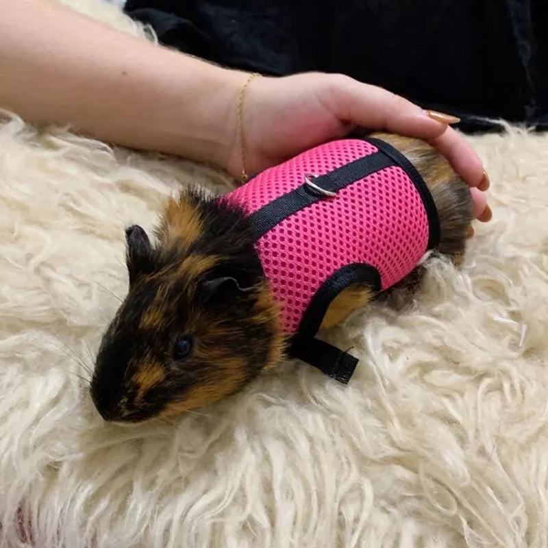 Summer, Guinea Pig, Hamster, Ferret, Rabbit, Leash Breathable Mesh, Accessories