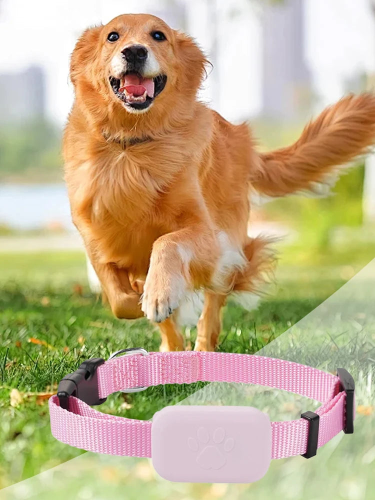 Pet GPS Tracker with Adjustable Collar, Smart Pet Locator, Tracker for Cats and Dogs