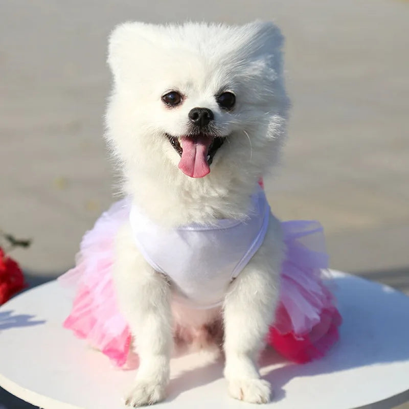 Sweet Princess Dress for Small Dogs, Spring, Autumn, Summer Dog Lace Tutu Dress