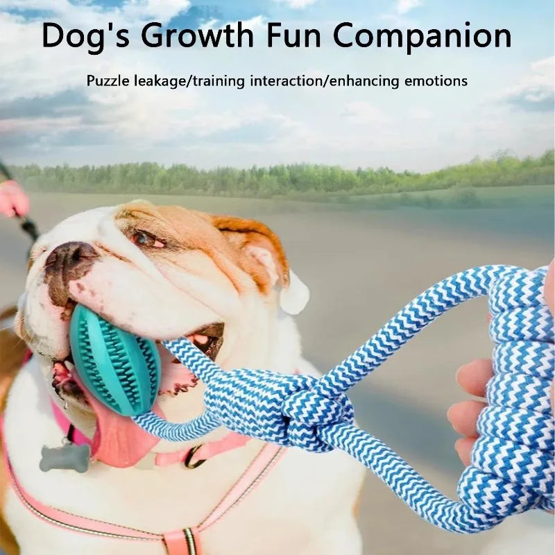 Durable Rope Dog Toy for Aggressive Chewers, Interactive Tug of War Fetch Toy, Braided Cotton Rope for Dental Health,