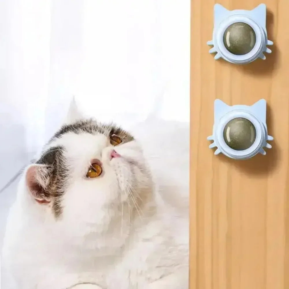 Lickable Catnip Toy, Teeth Cleaning, Chew Toy with Natural Catnip for Kittens & Cats, Sticks to Wall & Window