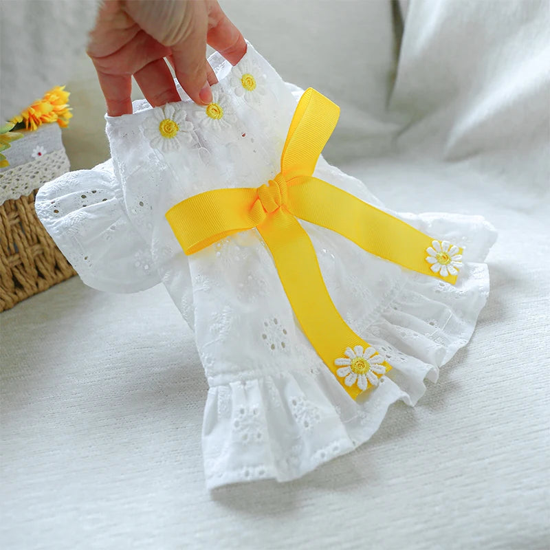 Spring Summer Dresses with White Floral Eyelets, Small and Medium Girl Dogs, Photography Outfits