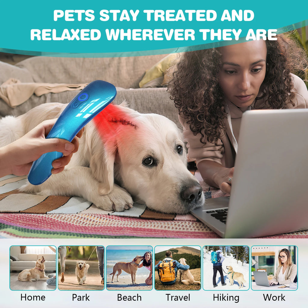KTS Laser Therapy for Dogs 18*620nm, Portable Red Light Therapy, Veterinary Equipment for Joint Muscle Pain Relief & Inflammation