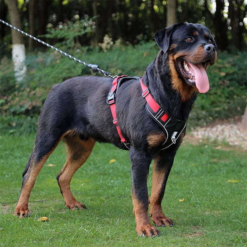 Dog Harness Reflective, Medium, Large, Tactical Vest, Waterproof, Oxford Cloth, Pet Accessories